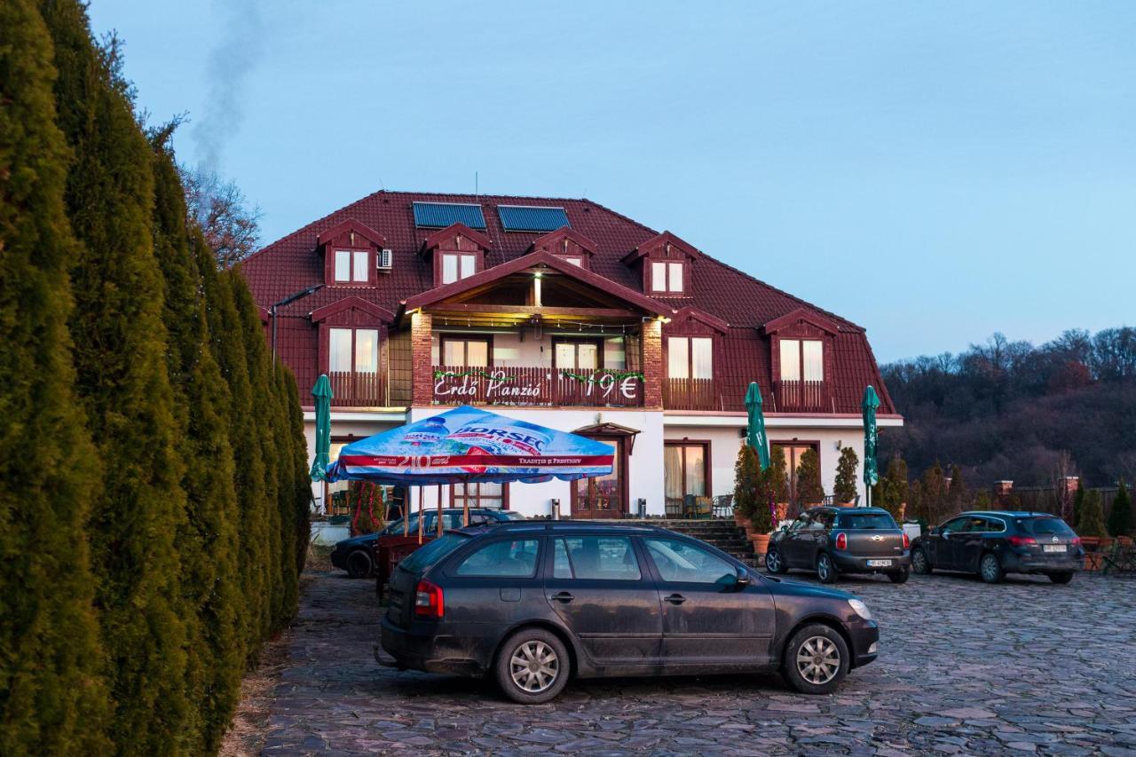 Pensiunea Si Restaurant Erdo Odorheiu Secuiesc Bagian luar foto
